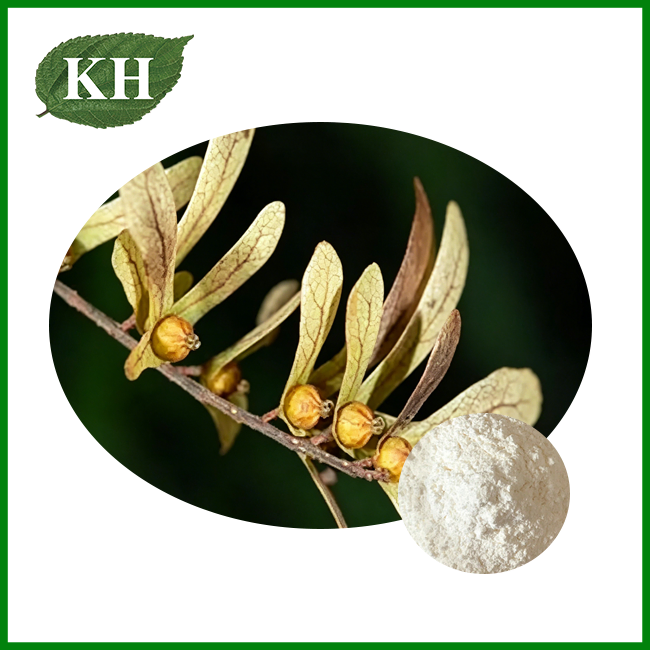 Engelhardtia Roxburghiana Extract